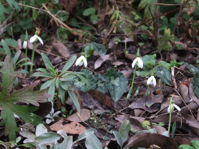 DSCF2625.JPG