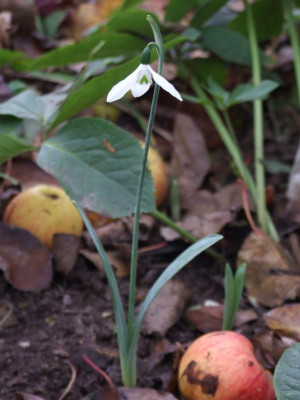 DSCF2634.JPG