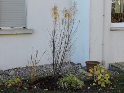 DSCN2712.JPG