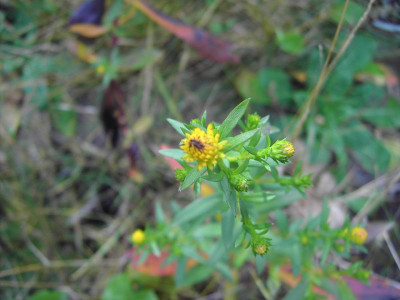 PICT0842.JPG