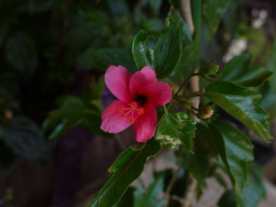 1_P1060270_6.jpg