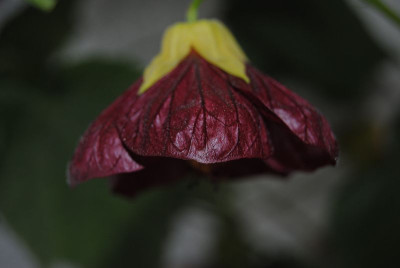 k-oktober 059.jpg