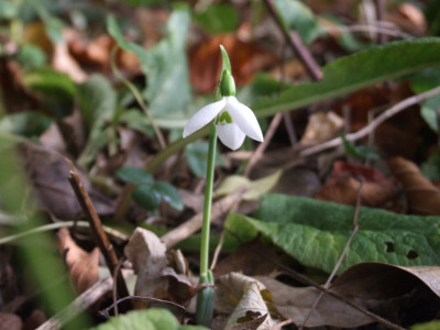DSCF2646.JPG