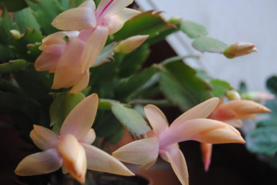 nov 082.jpg