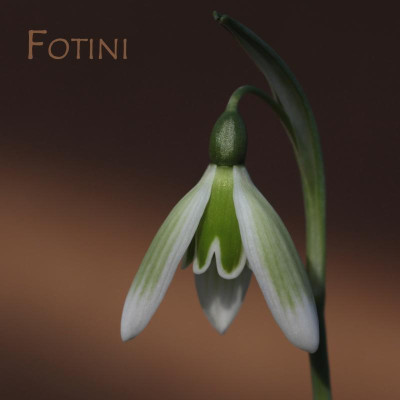 GidW_FOTINI mT.jpg