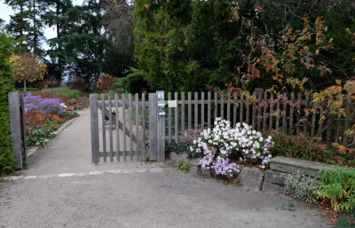 DSCF5420.jpg