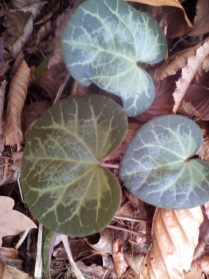nov 099.jpg