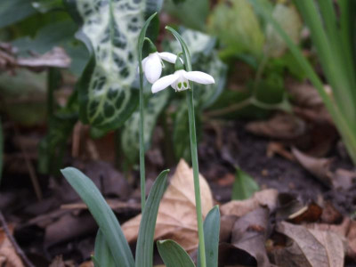 DSCF2655.JPG