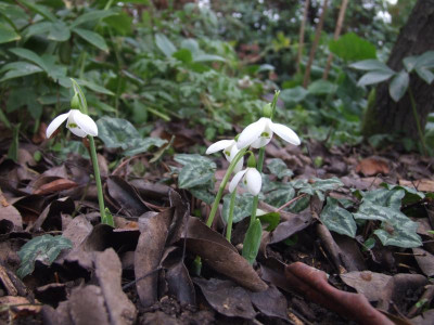 DSCF2650.JPG