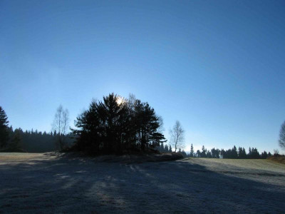 buehelnov03.jpg