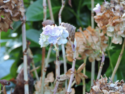 DSCN2802.JPG