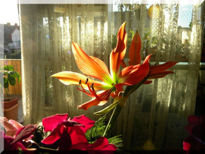 DSCN5209_6.jpg