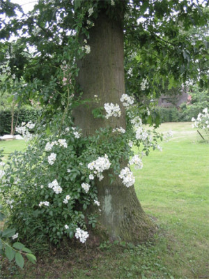 188-8835ab_IMG.jpg