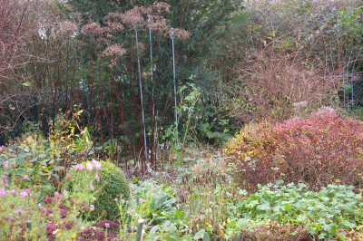 Herbst.022.JPG