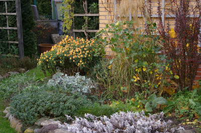 Herbst.028.JPG