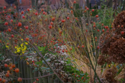 Herbst.024.JPG