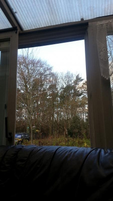 Blick aus dem Wintergarten.jpg
