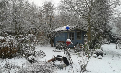 20151122_090902.jpg