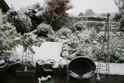Winter0215.JPG