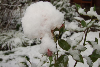 2015_1122EndeNovember0009.JPG