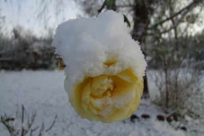2015_1122EndeNovember0062.JPG