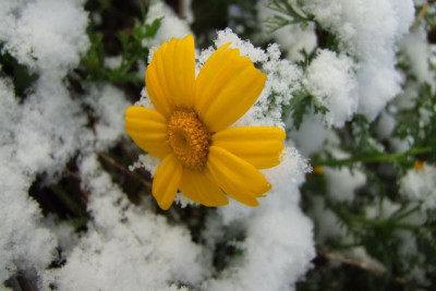 2015_1122EndeNovember0101.jpg