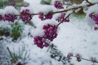 2015_1122EndeNovember0133.jpg