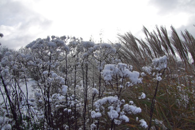2015_1122EndeNovember0095.jpg