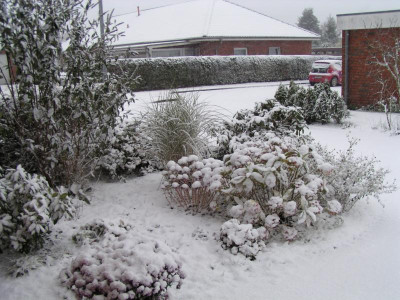 Der erste Schnee 002.JPG
