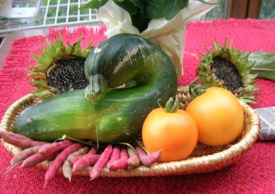 08_21__ernte.jpg