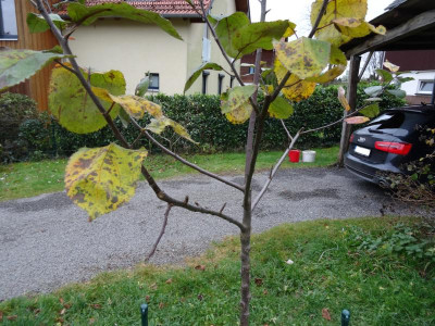 DSC043327.jpg