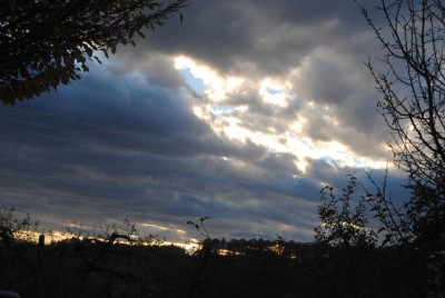 nov 036.jpg