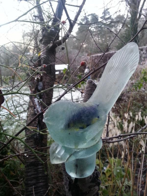 Eisvogel.jpg
