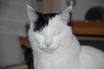 DSC_5201.jpg