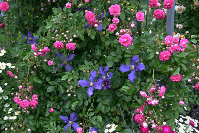 Cl.int.Durandi0709b.jpg