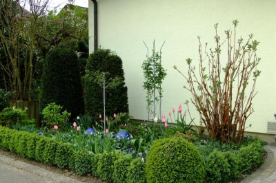 DSCF1578.JPG