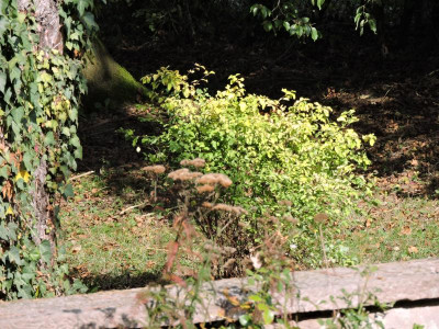 DSCN2543.JPG