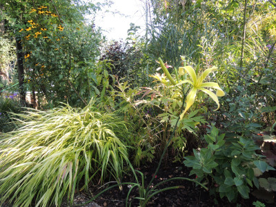 DSCN8227_1030.JPG