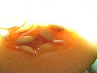 IMG_0927.JPG