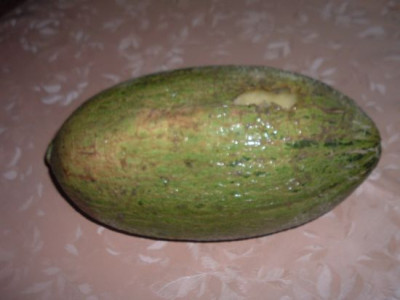 Melone_kaputt.jpg