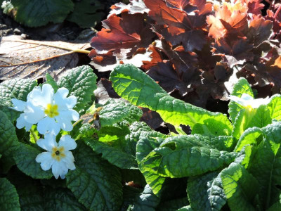 DSCN2689.JPG