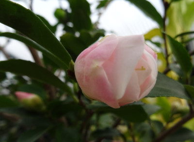 DSC02655.jpg