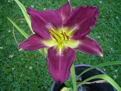 IMGP7644.JPG