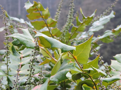 DSCN2825.JPG