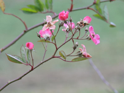 DSCN2817.JPG