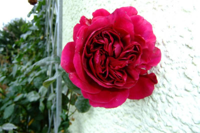 DSCF3118.JPG