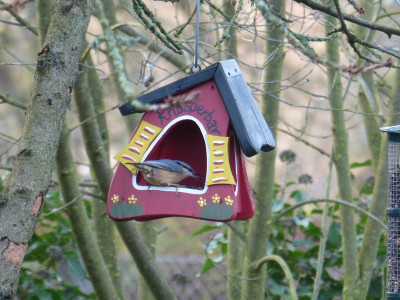 2015-12-12 Gartenimpressionen 4.jpg
