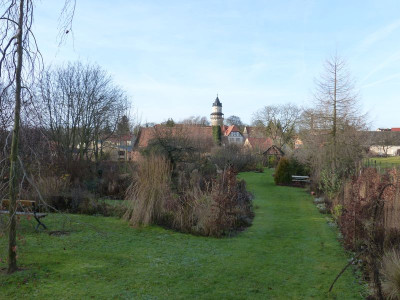 2015-12-12 Garteneinblick 2.jpg