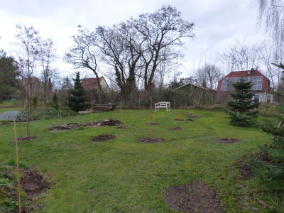2015-12-12 Birkenhain 2.jpg