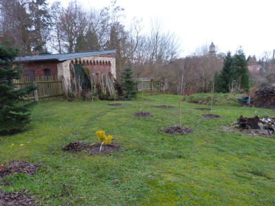 2015-12-12 Birkenhain 3.jpg